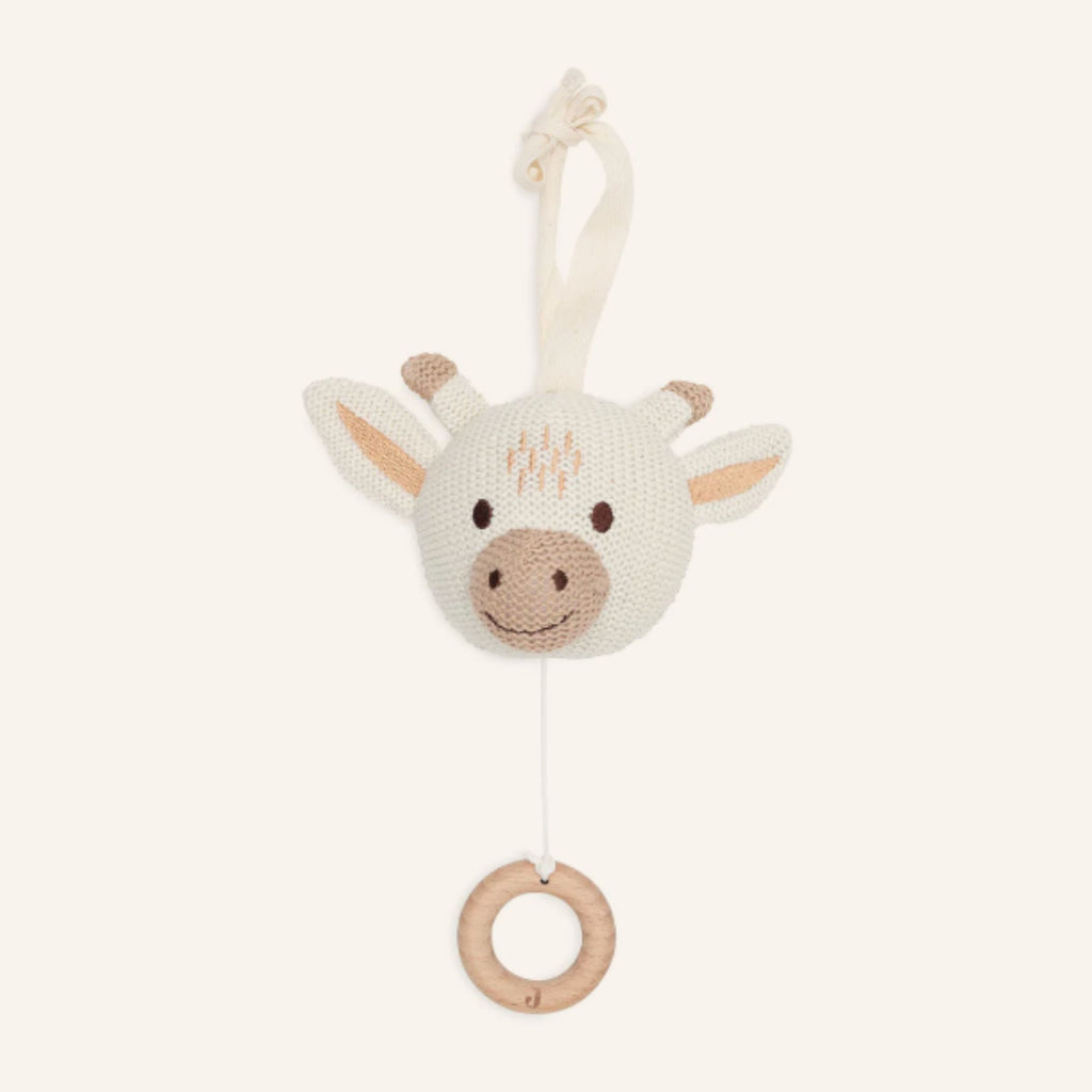 Geschenkset zur Geburt Giraffe gestrickt