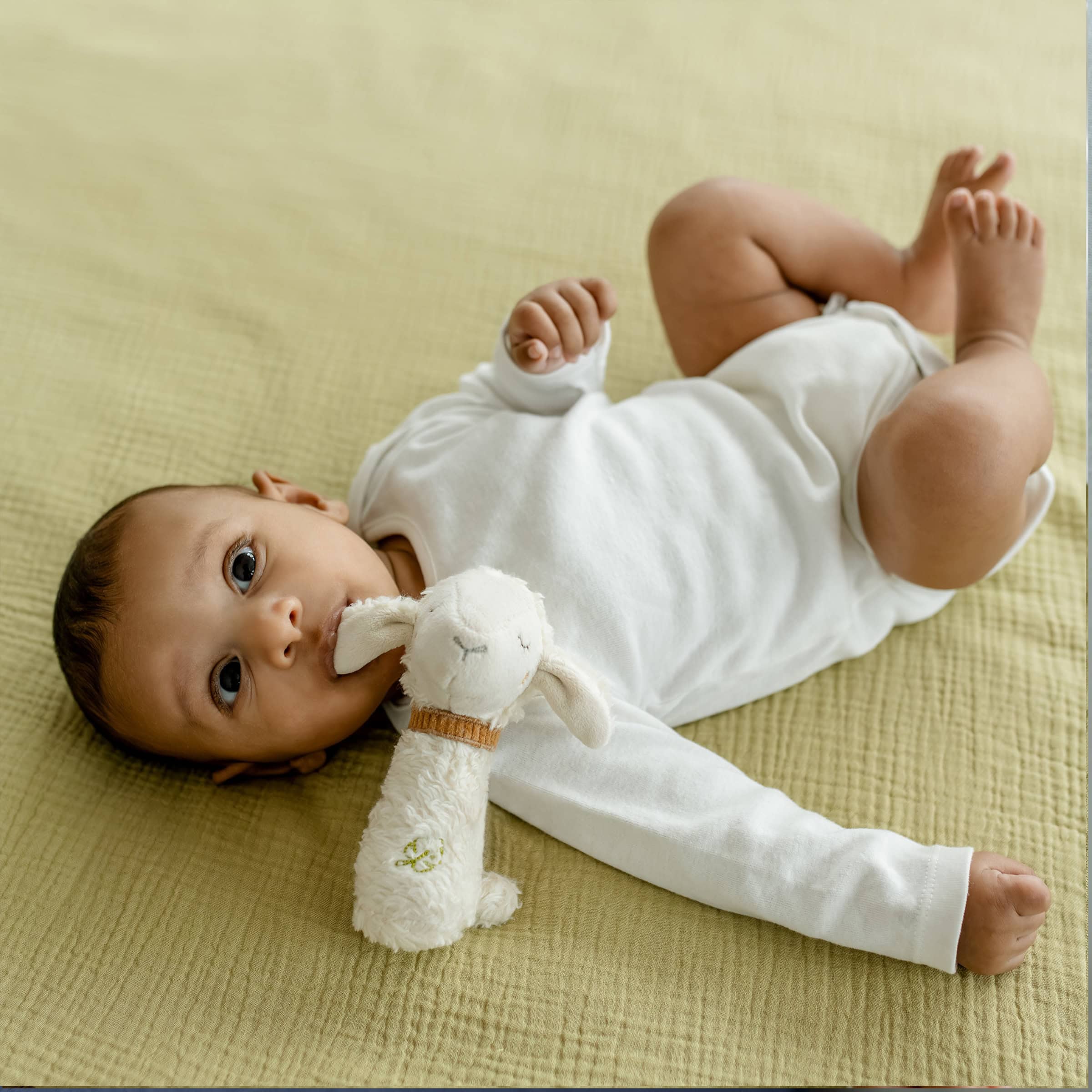 Fehn Mini Rassel Schaf mit knabberndem Baby
