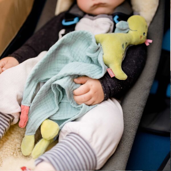 Fehn Schmusetuch Dino im Kinderwagen