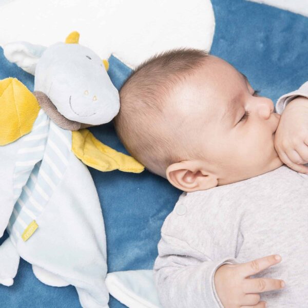 Fehn Schmusetuch Drache mit schlafendem Bab