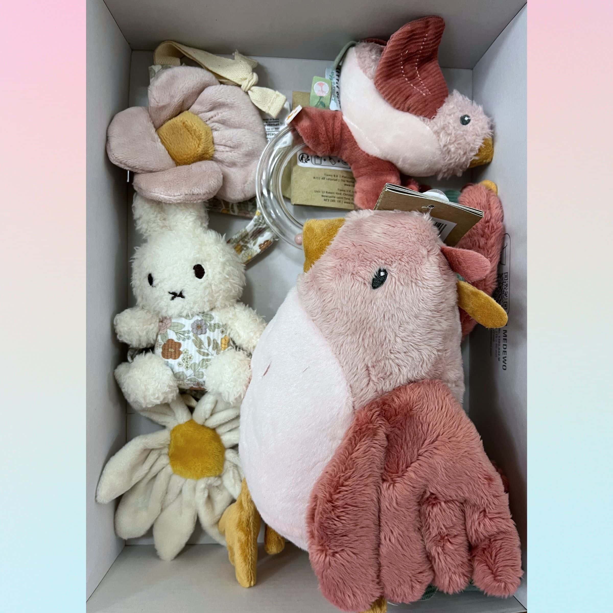 geschenkset-voegel-mit-kinderwagenkette