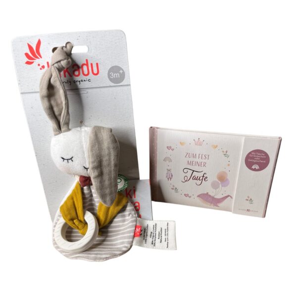 Geldgeschenk zur Taufe Hase