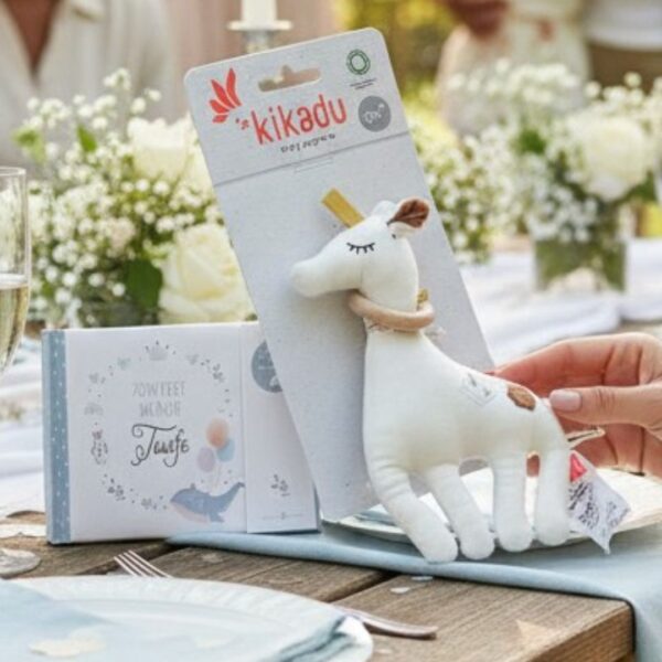 Taufset Geldgeschenk mit Giraffex (1)